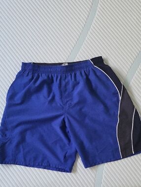Speedo Royal Blue Mesh Swim Shorts with Black Waistband